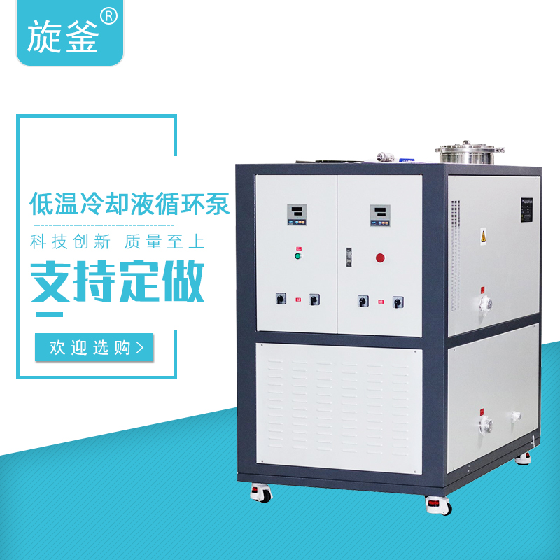 DLSB-200L-/30低温冷却液循环泵